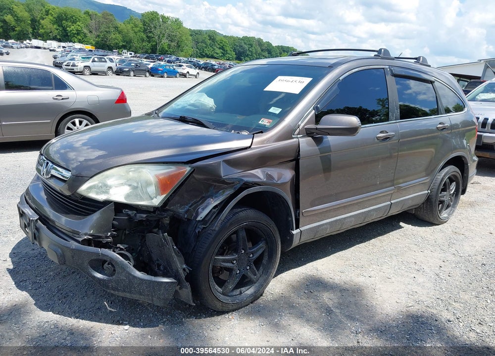 2009 HONDA CR-V EX-L VIN: 5J6RE48789L064455
