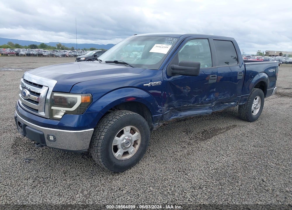 2010 FORD F-150 XLT VIN: 1FTEW1E83AFC32440