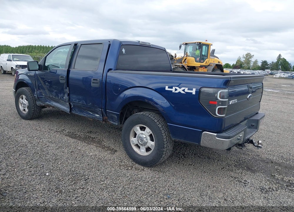 2010 FORD F-150 XLT VIN: 1FTEW1E83AFC32440