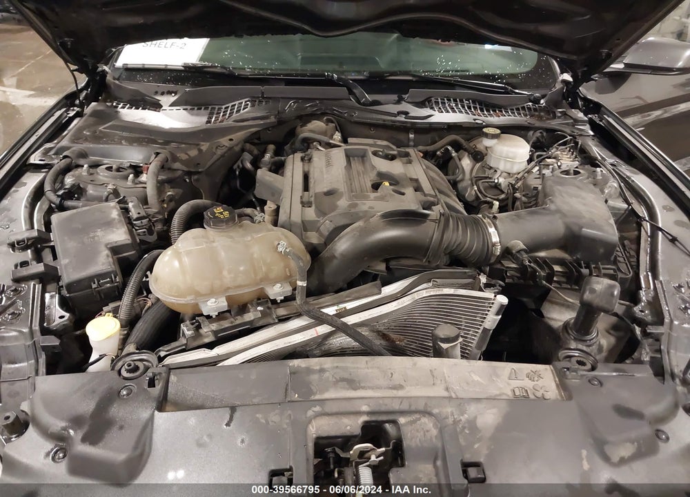 2019 FORD MUSTANG ECOBOOST VIN: 1FA6P8TH8K5134692