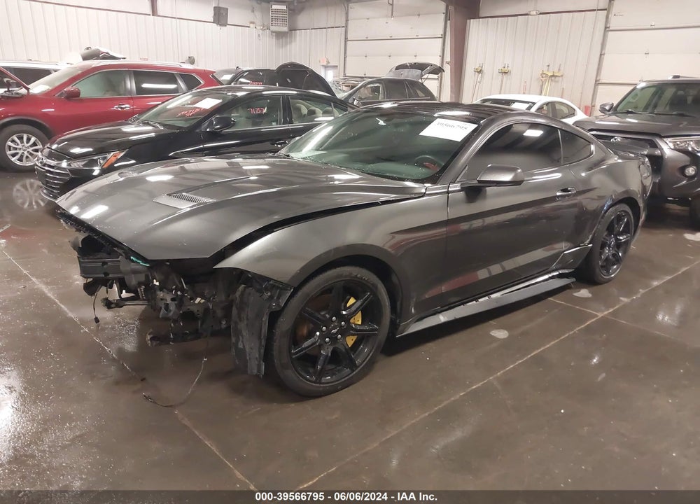 2019 FORD MUSTANG ECOBOOST VIN: 1FA6P8TH8K5134692
