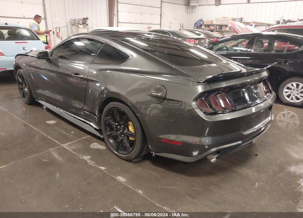 2019 FORD MUSTANG ECOBOOST VIN: 1FA6P8TH8K5134692