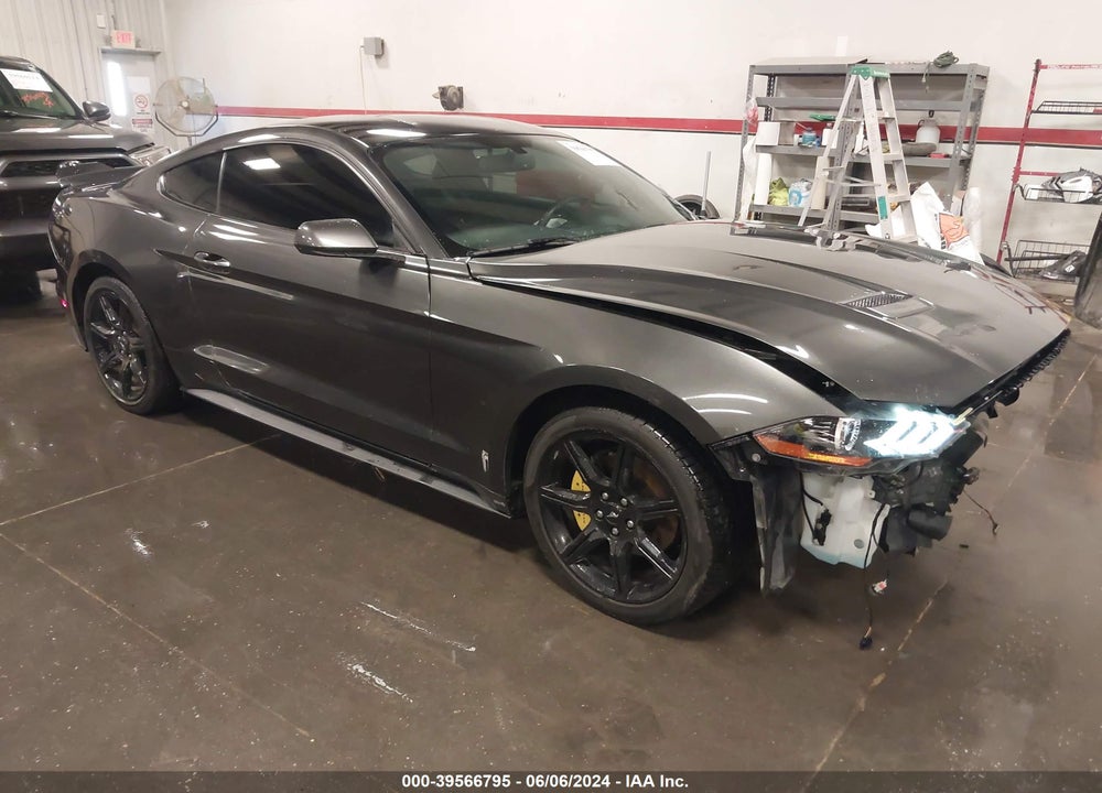 2019 FORD MUSTANG ECOBOOST VIN: 1FA6P8TH8K5134692