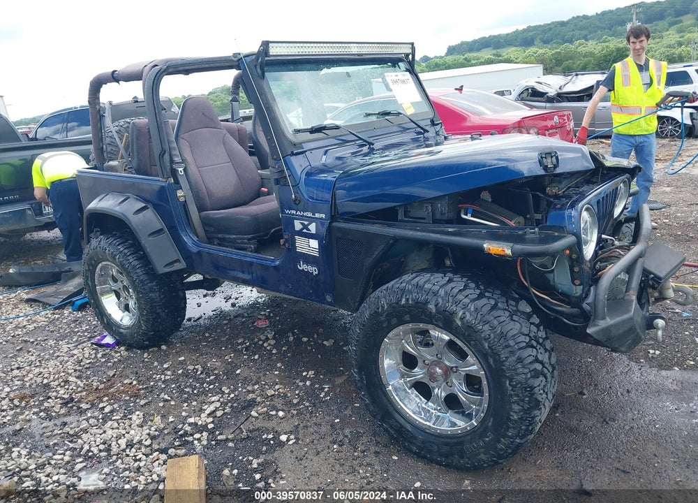2002 JEEP WRANGLER X VIN: 1J4FA39S02P731691