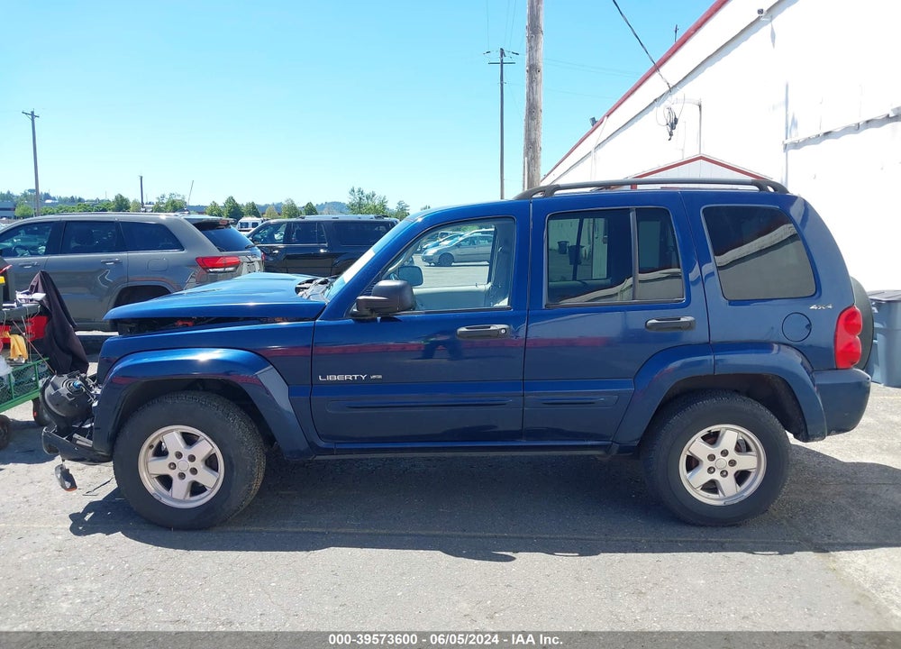 2002 JEEP LIBERTY LIMITED EDITION VIN: 1J8GL58K02W246497