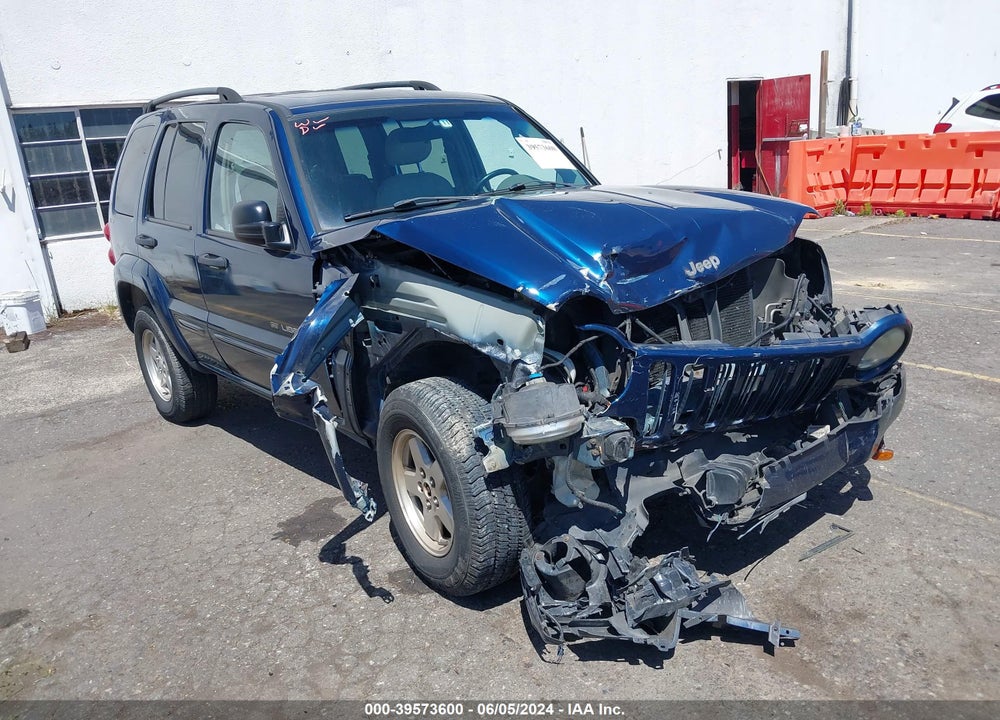 2002 JEEP LIBERTY LIMITED EDITION VIN: 1J8GL58K02W246497