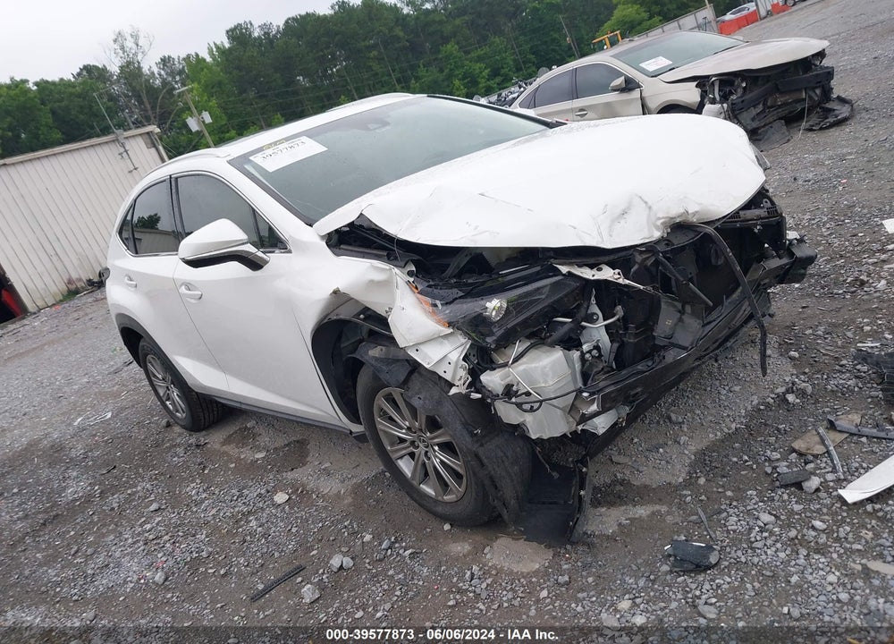 2019 LEXUS NX 300 VIN: JTJYARBZ0K2131756