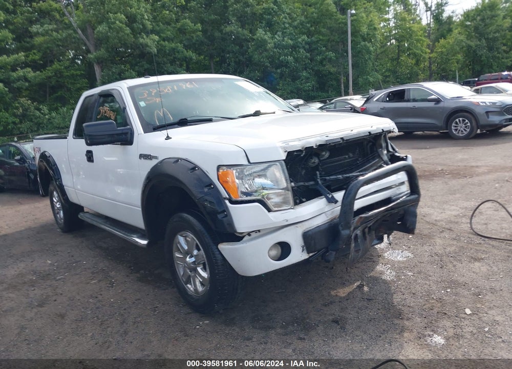 2013 FORD F-150 STX VIN: 1FTFX1EF0DFC78506