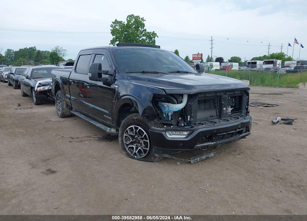 2023 FORD F-150 XLT VIN: 1FTFW1ED1PFB99061