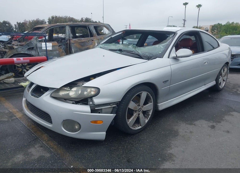 2006 PONTIAC GTO VIN: 6G2VX12U46L509191