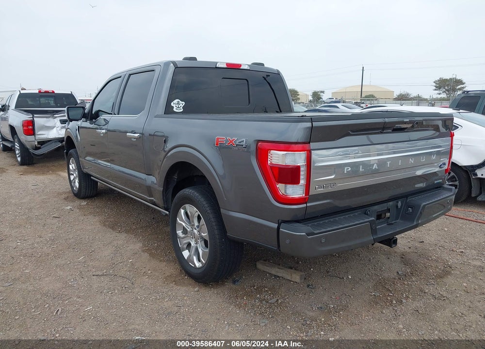2023 FORD F-150 PLATINUM VIN: 1FTFW1E81PFB52664