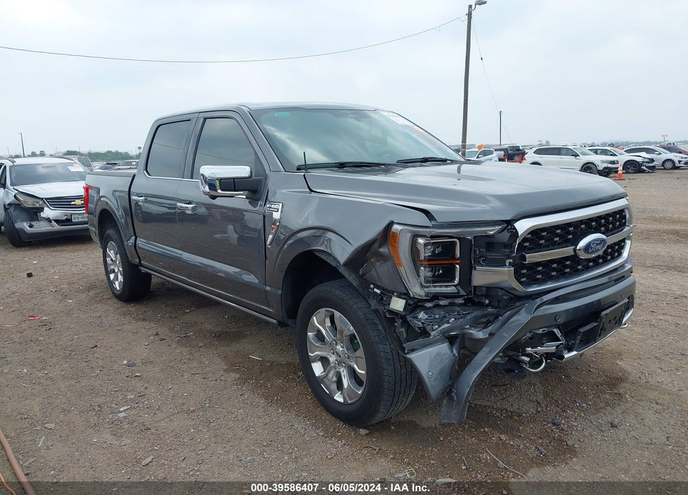 2023 FORD F-150 PLATINUM VIN: 1FTFW1E81PFB52664