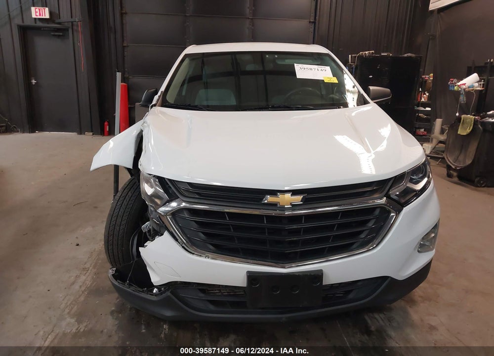 2019 CHEVROLET EQUINOX LS VIN: 2GNAXSEV1K6203013