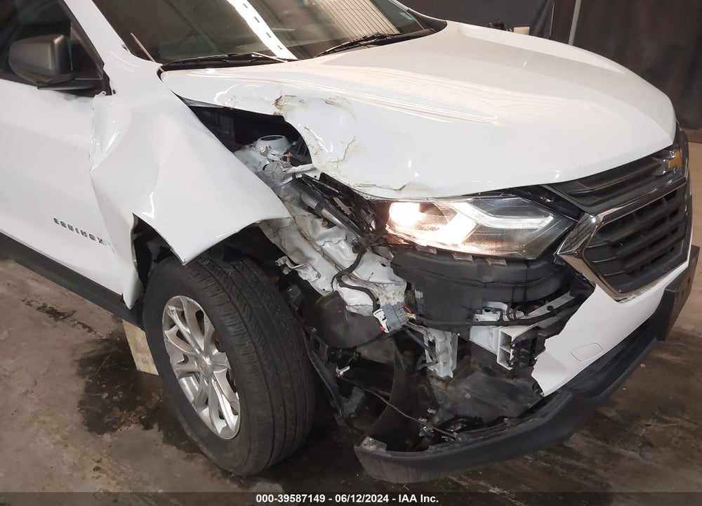 2019 CHEVROLET EQUINOX LS VIN: 2GNAXSEV1K6203013