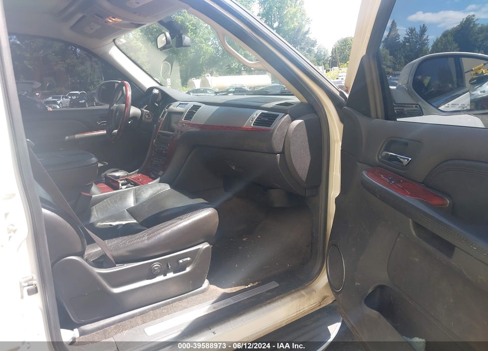2009 CADILLAC ESCALADE STANDARD VIN: 1GYFK23219R302123