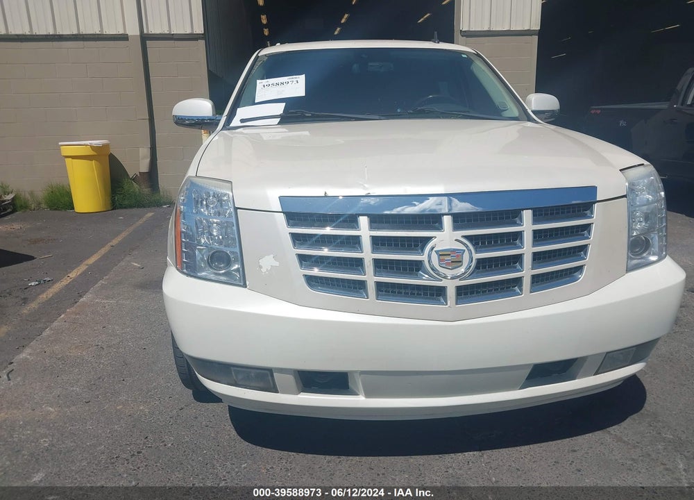 2009 CADILLAC ESCALADE STANDARD VIN: 1GYFK23219R302123