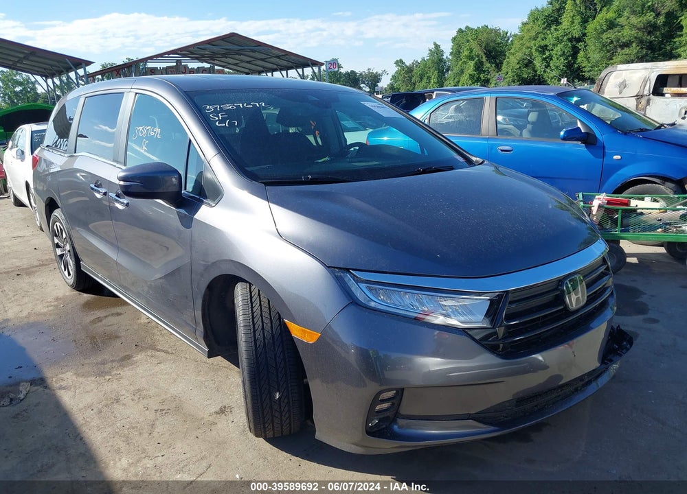 2024 HONDA ODYSSEY EX-L VIN: 5FNRL6H66RB049812
