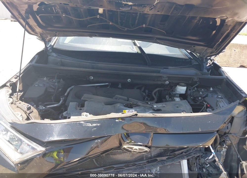 2019 TOYOTA RAV4 XLE VIN: 2T3W1RFV0KW011481