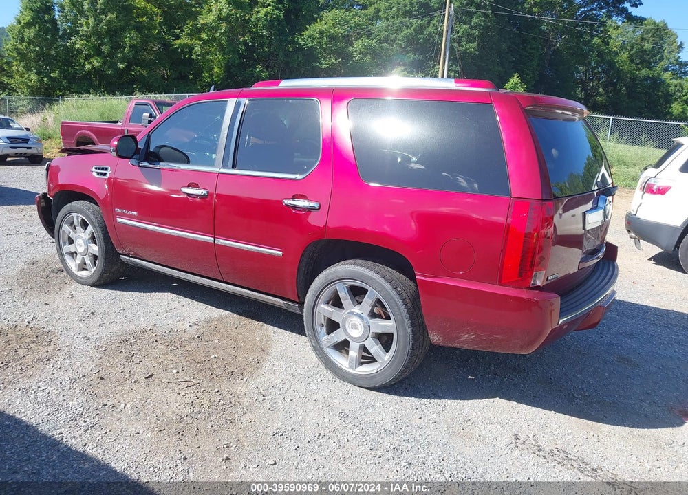 2010 CADILLAC ESCALADE PREMIUM VIN: 1GYUKCEF8AR186145