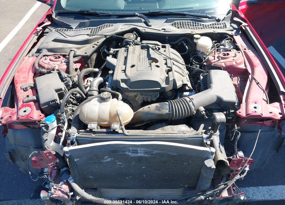 2020 FORD MUSTANG ECOBOOST FASTBACK VIN: 1FA6P8TH1L5118450