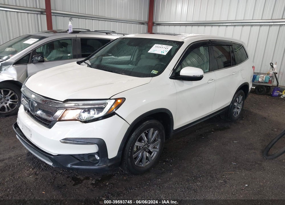 2019 HONDA PILOT EX-L VIN: 5FNYF6H5XKB055287