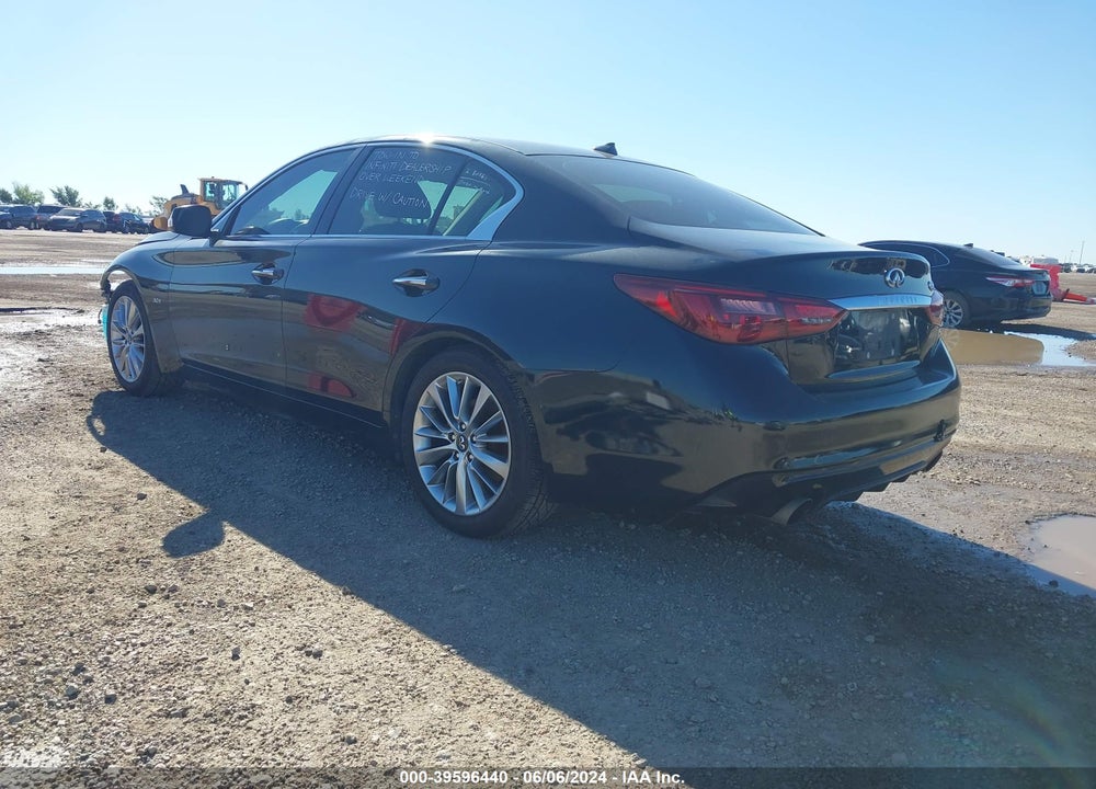 2019 INFINITI Q50 3.0T LUXE VIN: JN1EV7AP8KM516388