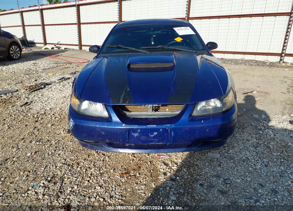 2003 FORD MUSTANG GT VIN: 1FAFP42X03F322944