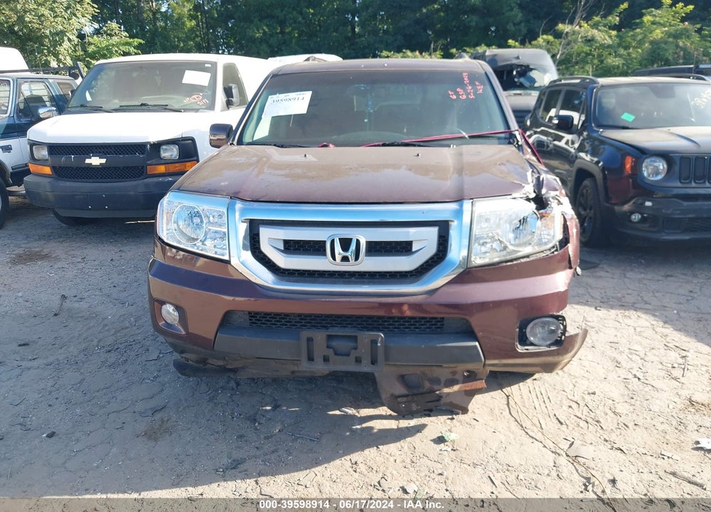 2010 HONDA PILOT EX-L VIN: 5FNYF4H51AB005509