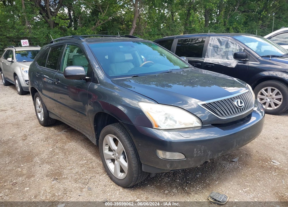 2004 LEXUS RX 330 VIN: 2T2HA31U44C037479