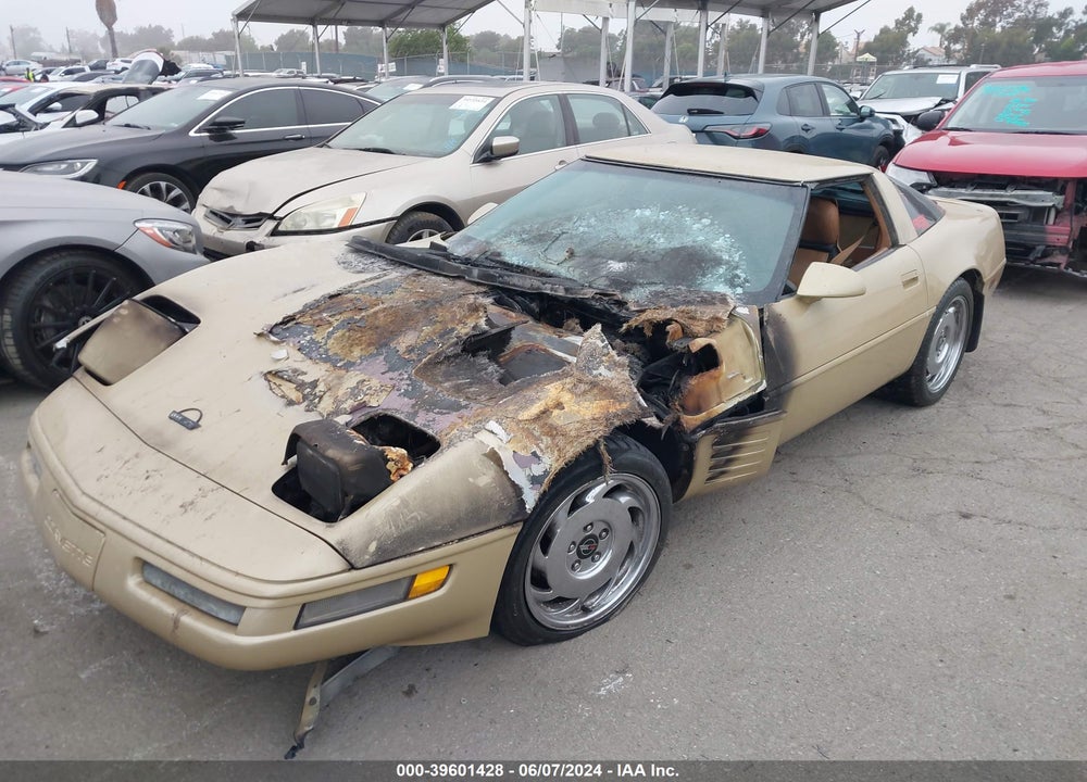 1991 CHEVROLET CORVETTE VIN: 1G1YY2381M5104684
