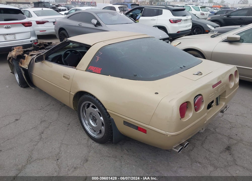 1991 CHEVROLET CORVETTE VIN: 1G1YY2381M5104684