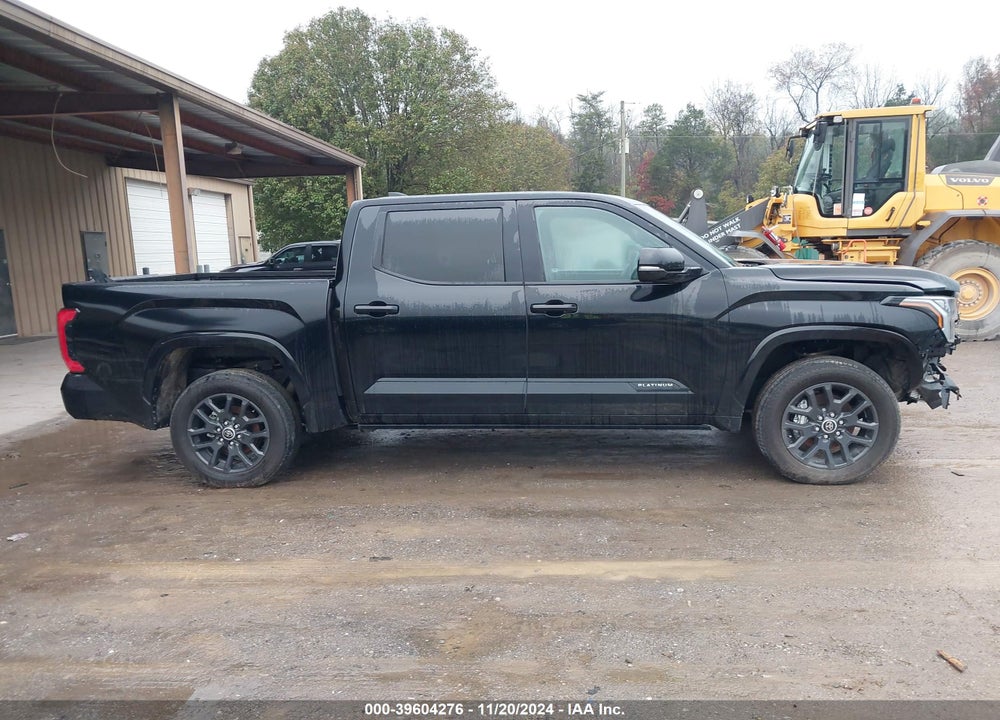 2023 TOYOTA TUNDRA PLATINUM VIN: 5TFNA5DB3PX080827