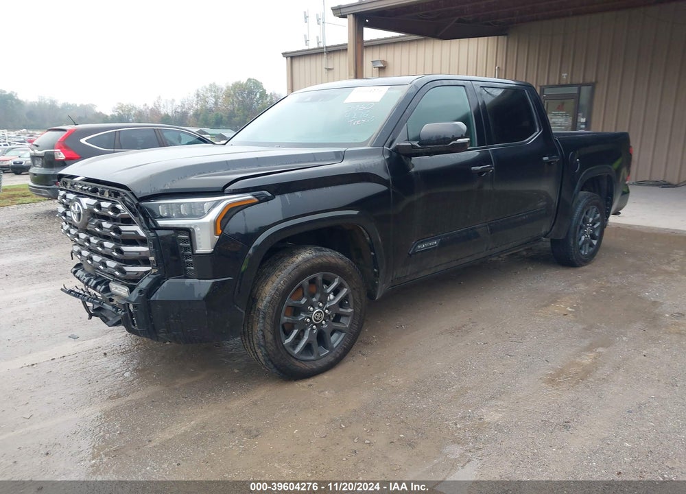 2023 TOYOTA TUNDRA PLATINUM VIN: 5TFNA5DB3PX080827