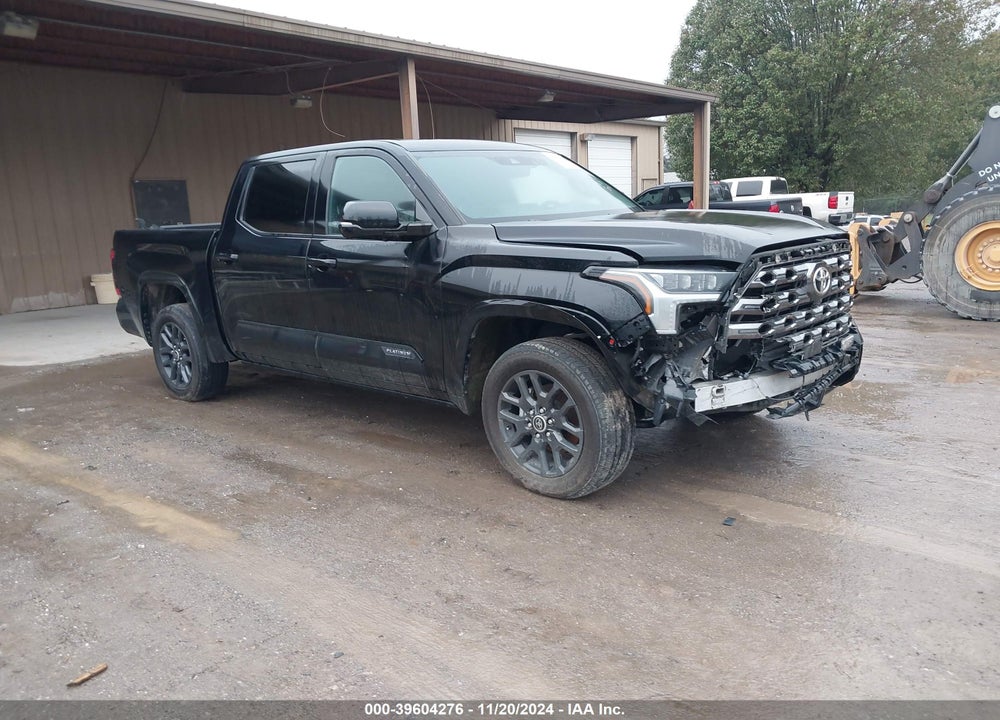 2023 TOYOTA TUNDRA PLATINUM VIN: 5TFNA5DB3PX080827