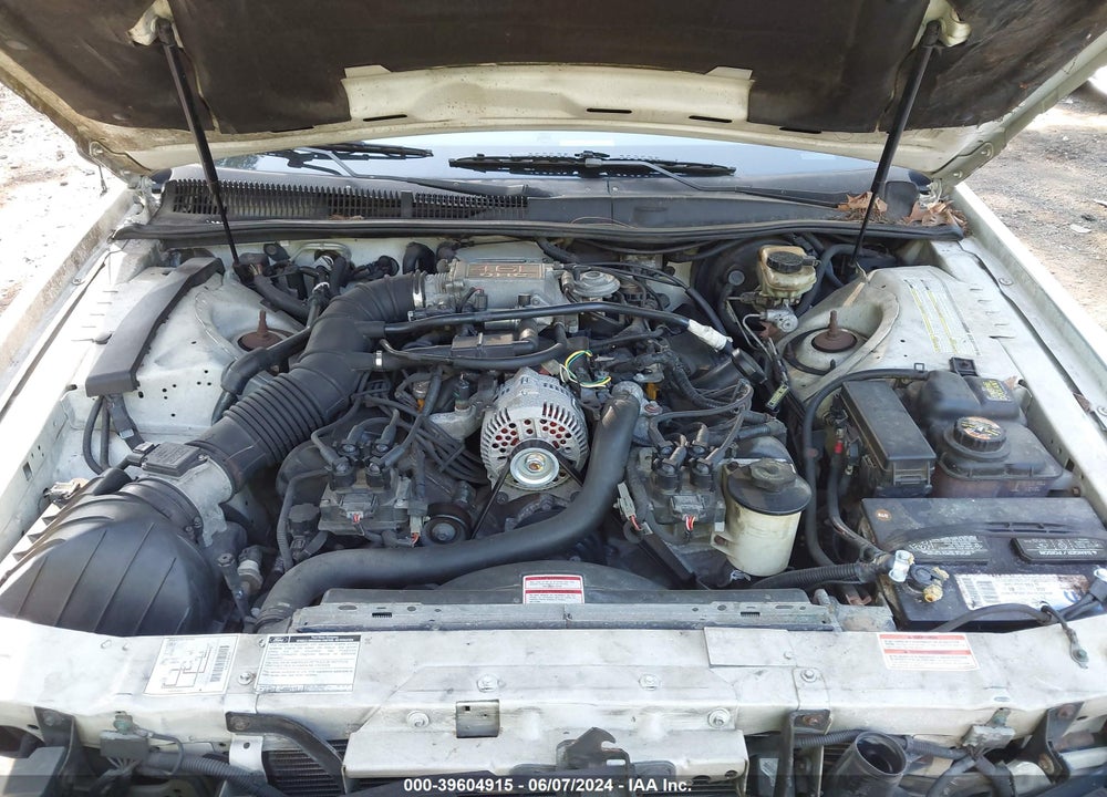 1996 FORD THUNDERBIRD LX VIN: 1FALP62W9TH141495
