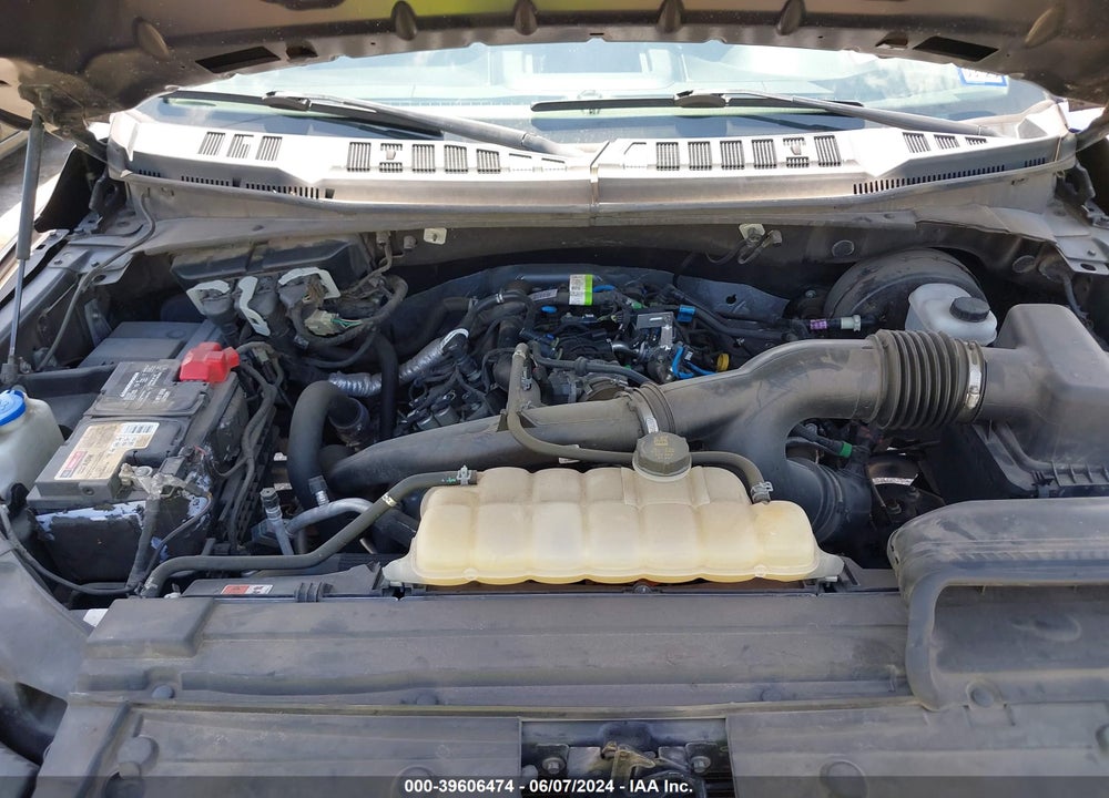 2019 FORD F-150 XL VIN: 1FTEW1CP8KKC30699
