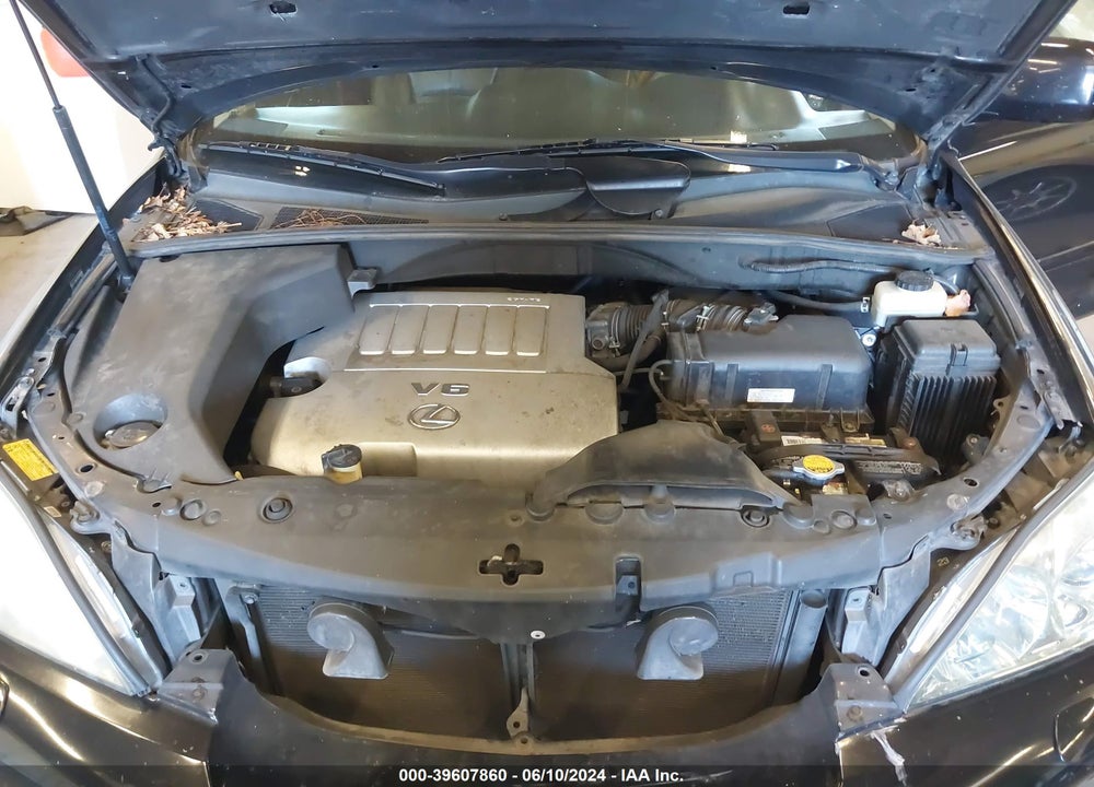 2009 LEXUS RX 350 VIN: 2T2GK31U39C080906
