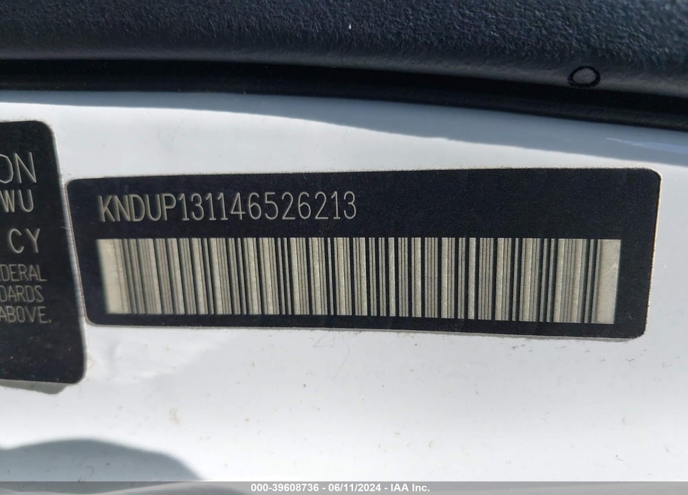2004 KIA SEDONA EX/LX VIN: KNDUP131146526213