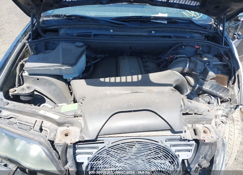 2002 BMW X5 3.0I VIN: 5UXFA53532LH80347