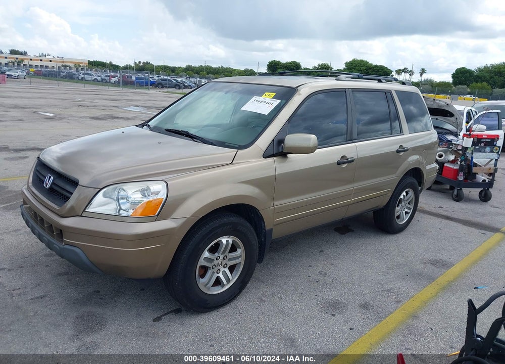 2005 HONDA PILOT EX-L VIN: 5FNYF18505B012746