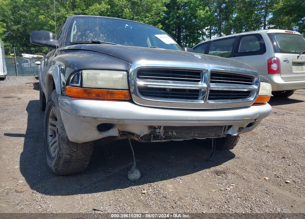 2002 DODGE DAKOTA SLT VIN: 1B7HL48NX2S655680