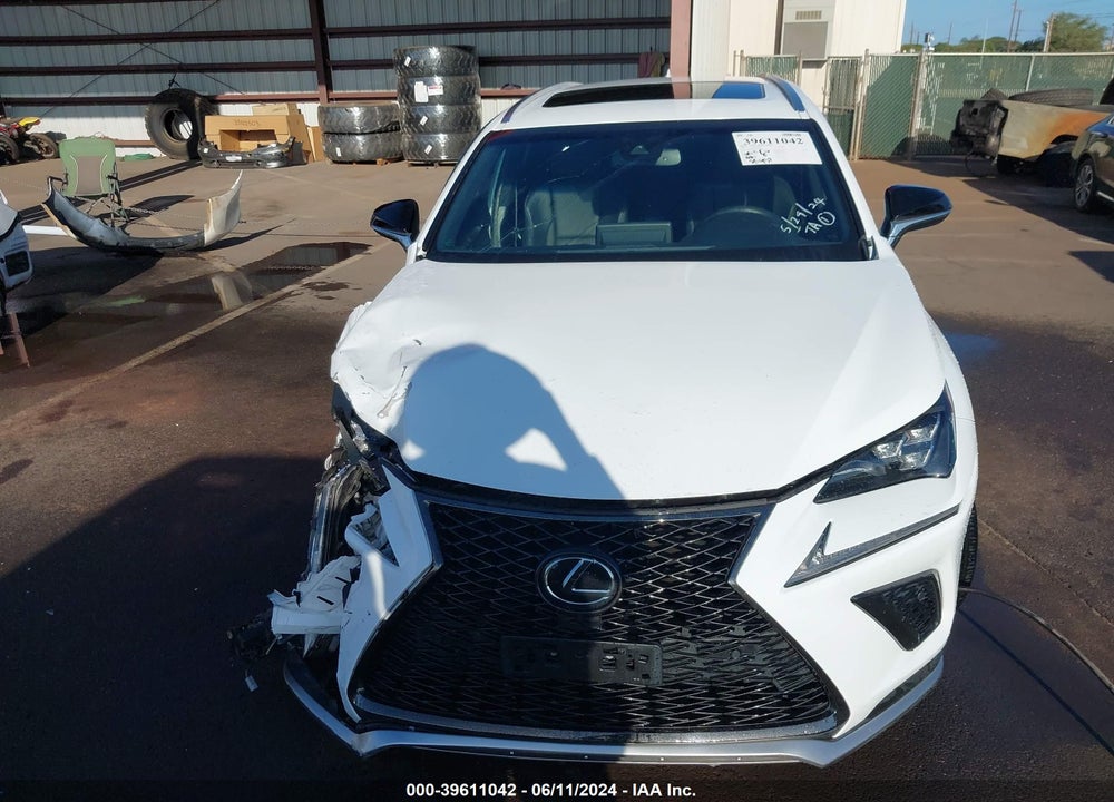 2019 LEXUS NX 300 F-SPORT VIN: JTJYARBZ4K2123370