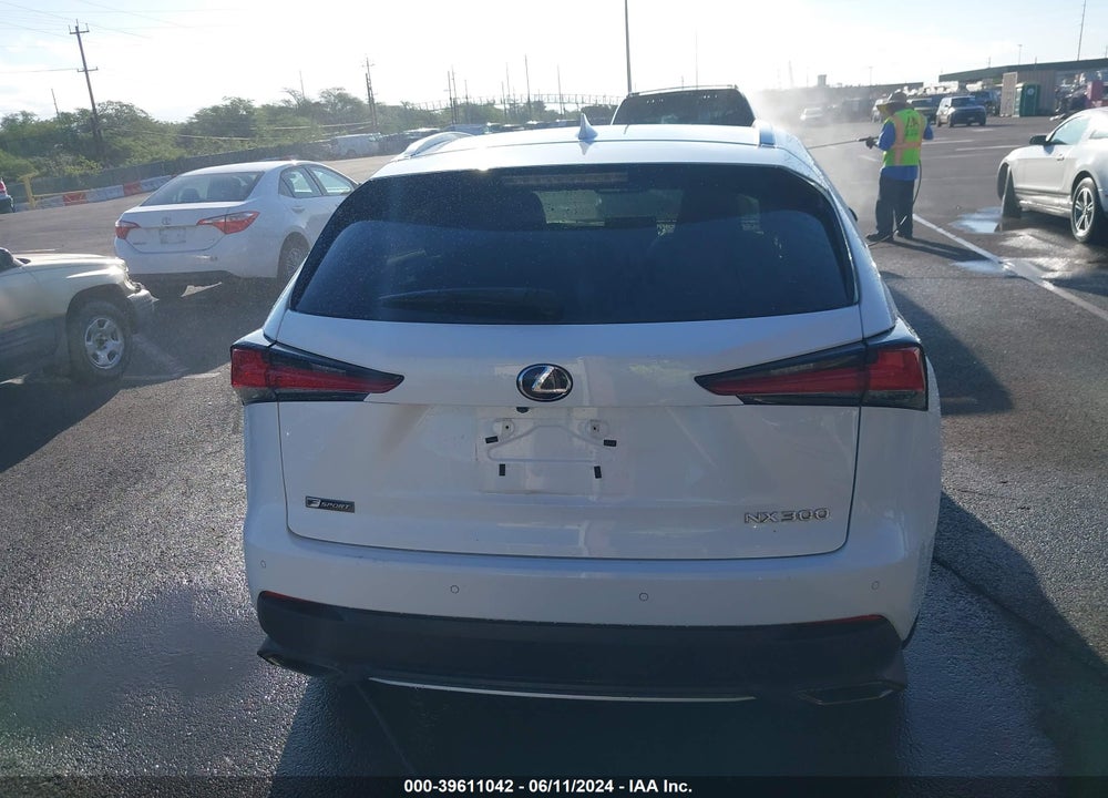 2019 LEXUS NX 300 F-SPORT VIN: JTJYARBZ4K2123370