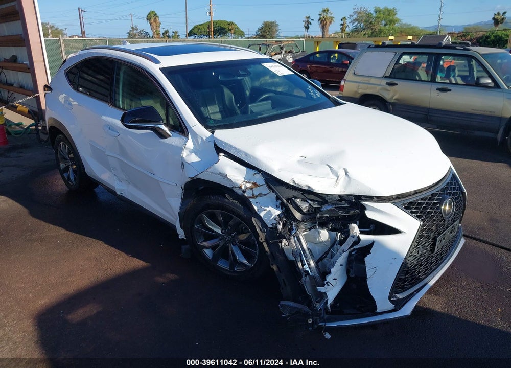 2019 LEXUS NX 300 F-SPORT VIN: JTJYARBZ4K2123370