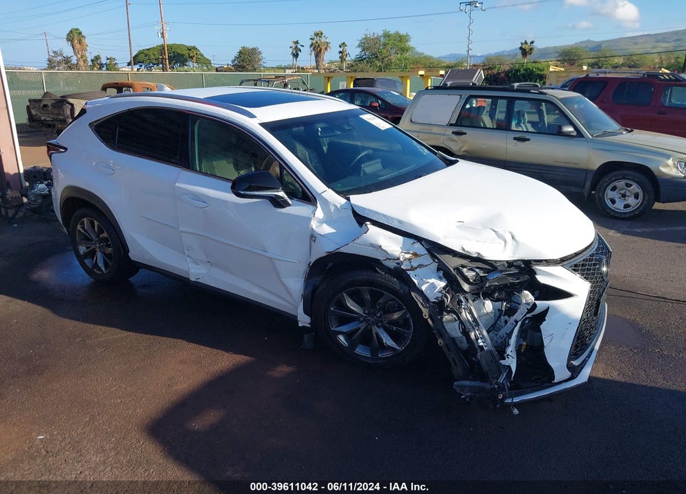 2019 LEXUS NX 300 F-SPORT VIN: JTJYARBZ4K2123370