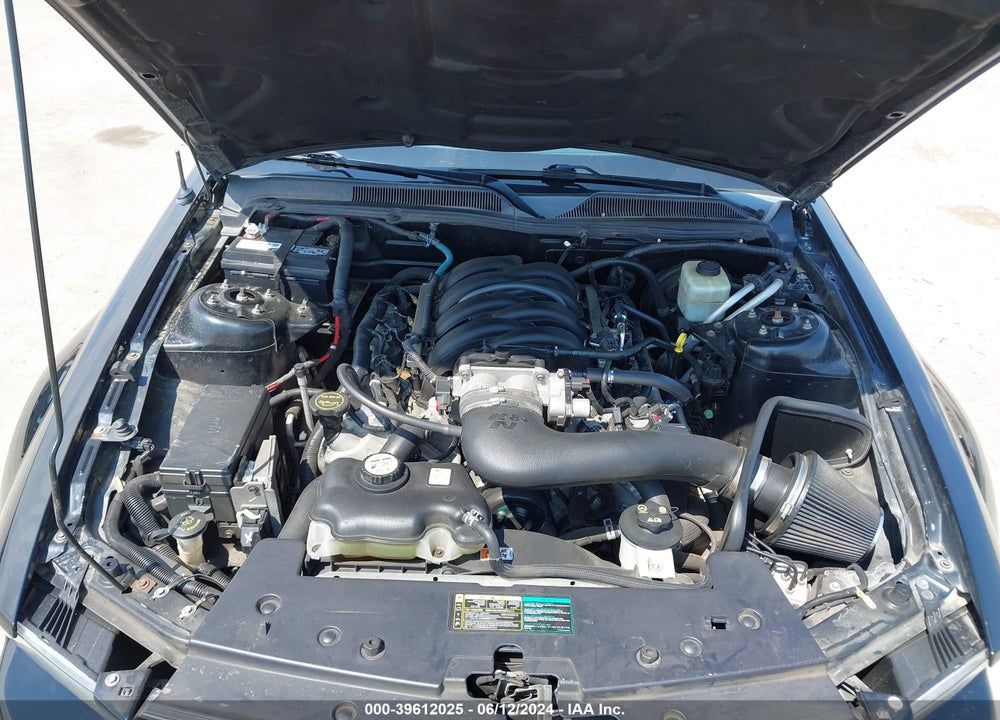 2005 FORD MUSTANG GT DELUXE/GT PREMIUM VIN: 1ZVFT82H655155503