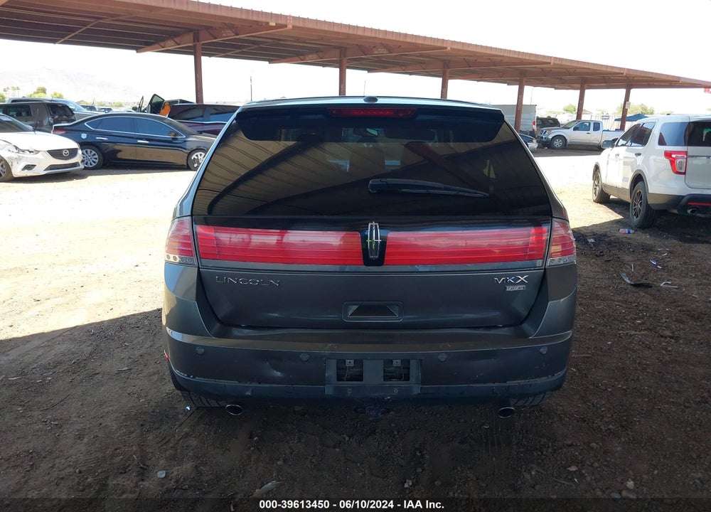 2009 LINCOLN MKX VIN: 2LMDU88C19BJ12613