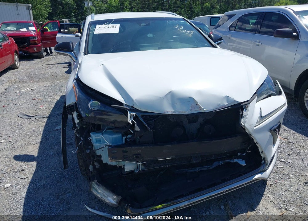 2018 LEXUS NX 300 F-SPORT VIN: JTJYARBZ5J2101053