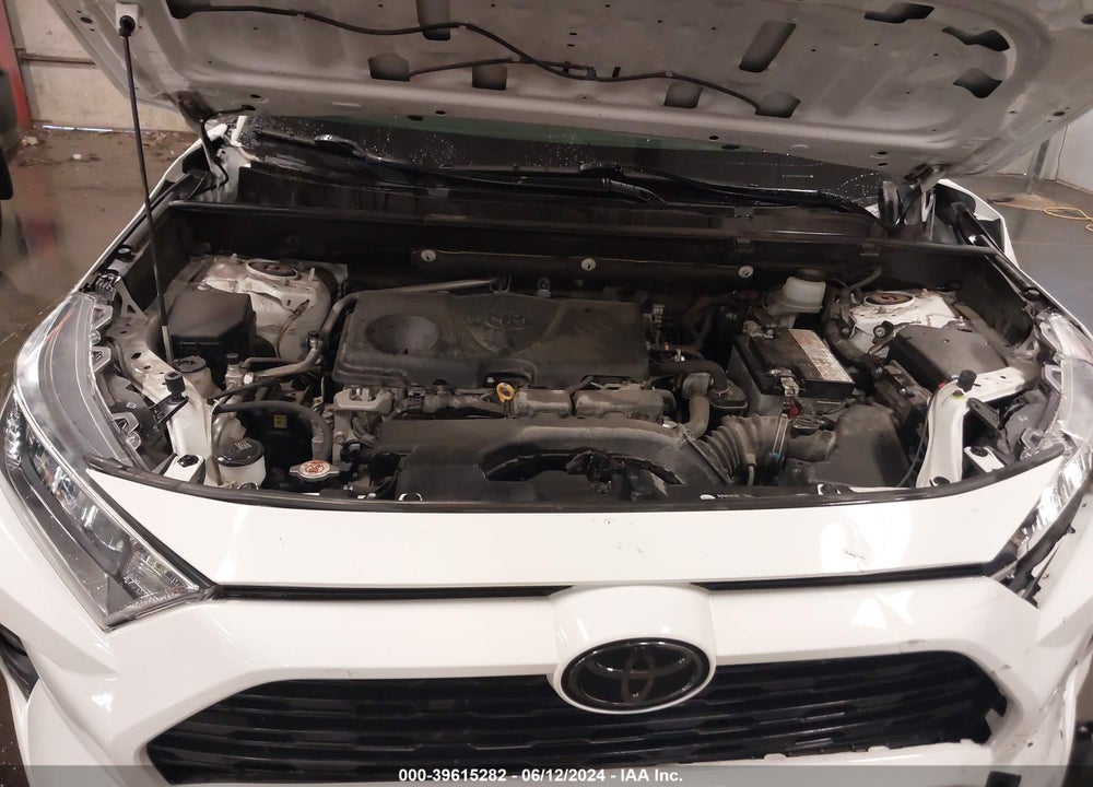 2019 TOYOTA RAV4 XLE VIN: JTMP1RFV8KD510725