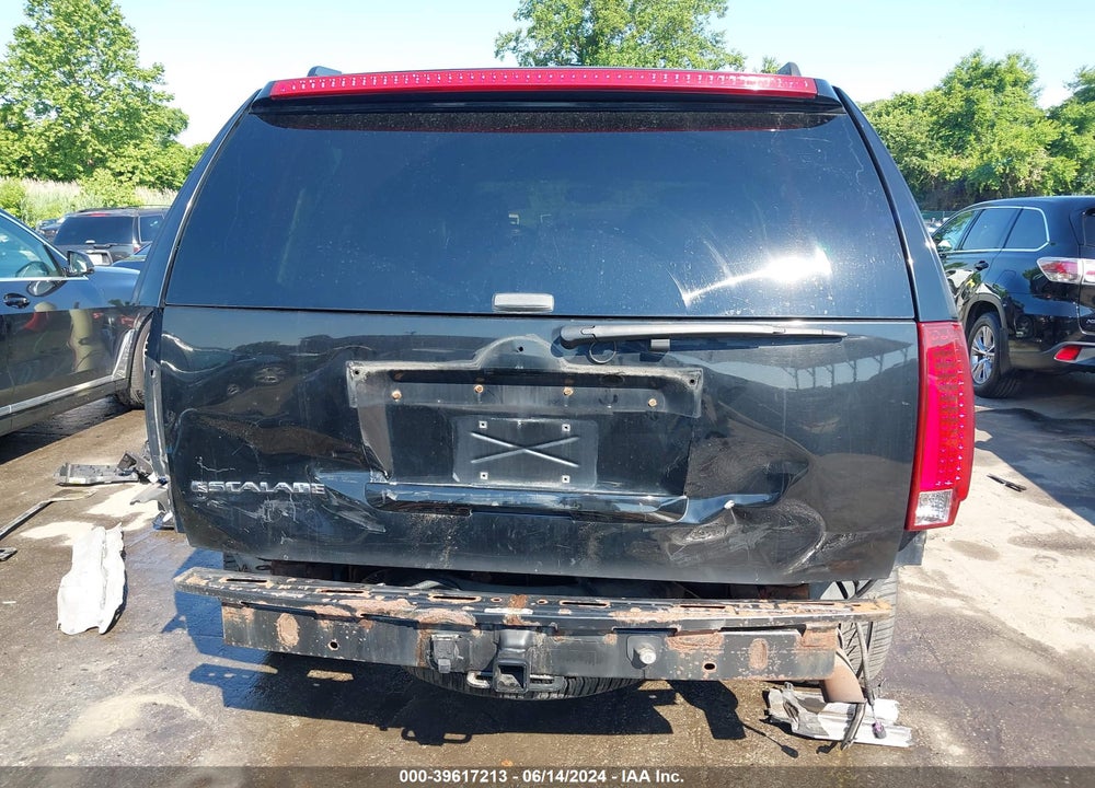 2007 CADILLAC ESCALADE STANDARD VIN: 1GYFK63827R289729